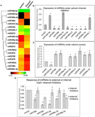 Investigations on Regulation of MicroRNAs in Rice Reveal [Ca2+]cyt Signal Transduction Regulated MicroRNAs